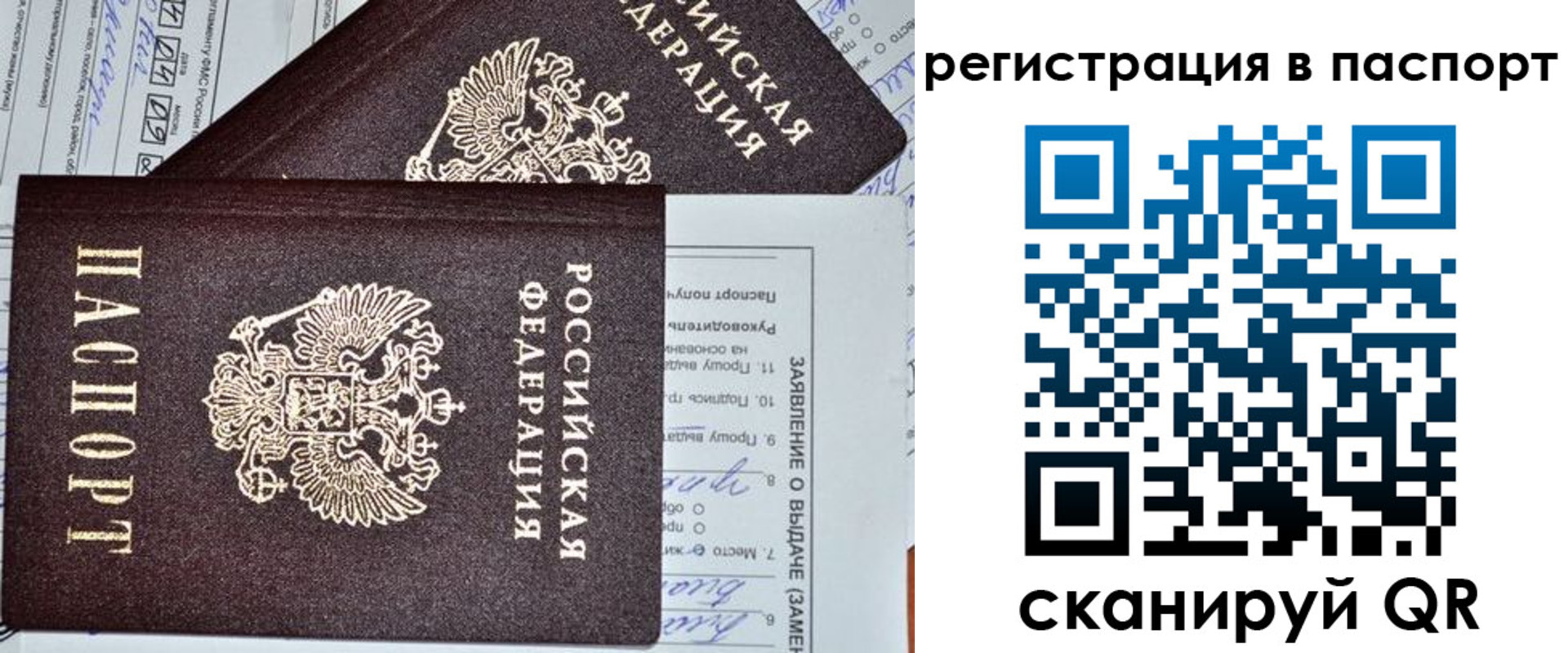 прописка законно в Шали